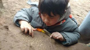 Jugaba en la playa y encontró un tesoro paleontológico de medio millón de años de antigüedad