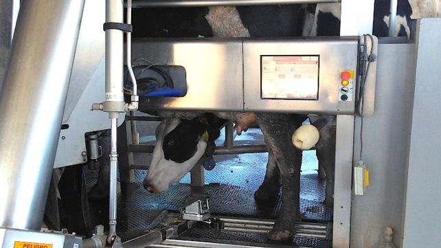 En la región. El primer tambo robótico se instaló en 2015 en Inta Rafaela