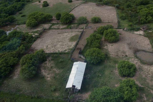 La Fundación Humedales advierte que crecieron los terraplenes en el delta del Paraná