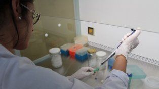 Pueden participar las carreras de ingeniería química, mecánica, industrial e informática, entre otras.