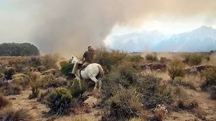 Controlaron el foco que devastó Cholila