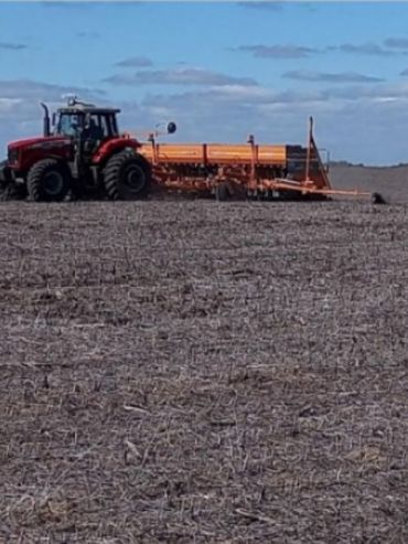 Actividad económica en baja, sólo el agro y la recaudación crecieron en agosto
