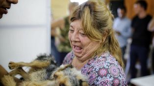 Se realizan castraciones en barrio Las Flores