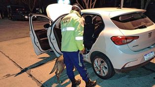 Detenidos con cargamento de éxtasis