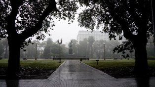 El tiempo en Rosario: viernes con viento