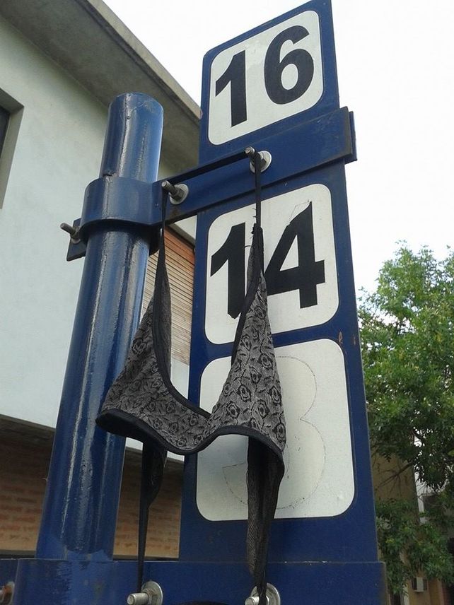 Insólito hallazgo en una esquina santafesina