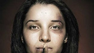 Media sanción a la emergencia por violencia de género