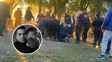 Crimen del policía en Carcarañá: fiscal acreditó que le clavaron un hierro en el cráneo