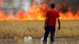 España bajo fuego: ya ardieron 173.000 hectáreas