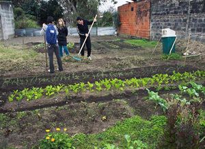 Vecinos del noroeste hallan una oportunidad en la huerta
