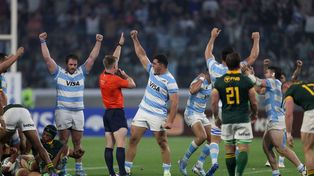 Es el final y Los Pumas acaban de consumir una victoria histórica ante el campeón del mundo Sudáfrica.