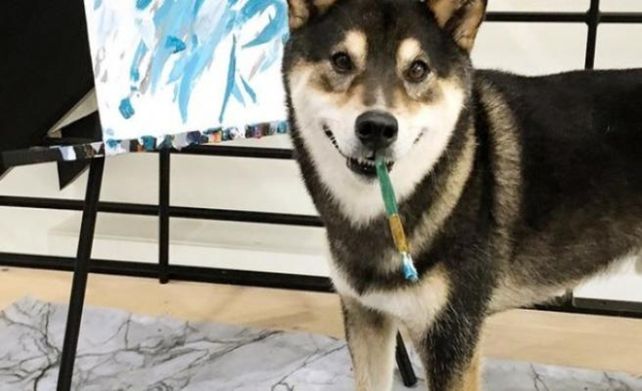Perro pintor. Hunter se ha dedicado desde 2017 a la pintura gracias a la destreza con su hocico y el pincel.&nbsp;