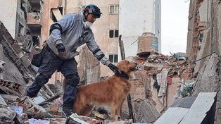 Destacada labor de los perros de rescate de Entre Ríos