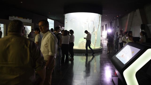 Conocé antes de que se inaugure cómo es por dentro el nuevo acuario de Rosario