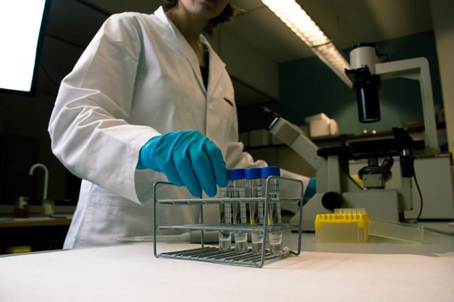 Hallazgo. Los investigadores observaron primero el desarrollo de los embriones humanos en una placa de Petri.