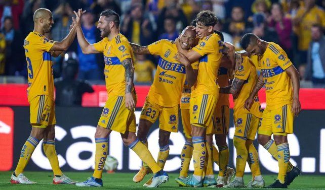 Los Tigres de Cocca dieron la nota ante el campeón Pachuca