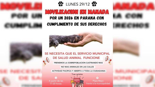 Paraná: proteccionistas denuncian que se castró menos de la mitad de animales pactados