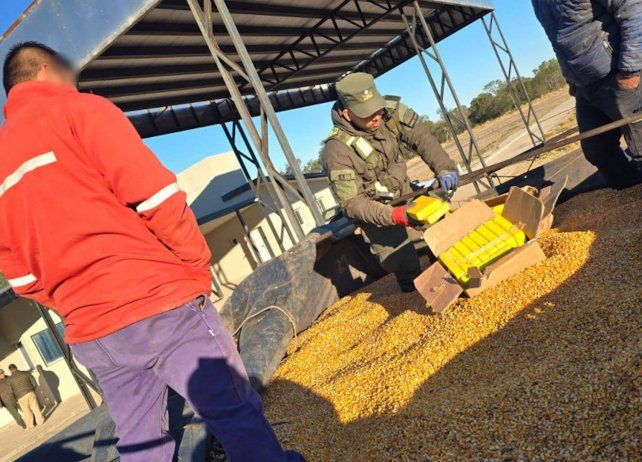 Un perro policía detectó 44 kilos de cocaína en un camión que se dirigía a Rosario