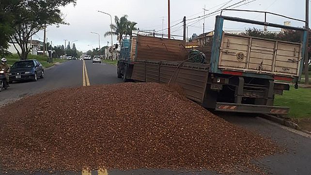 Paraná: un camión perdió la carga completa en avenida Zanni
