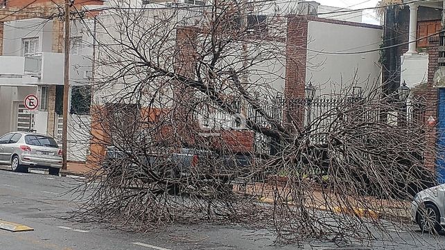 Datos de lluvia: se registraron hasta 17