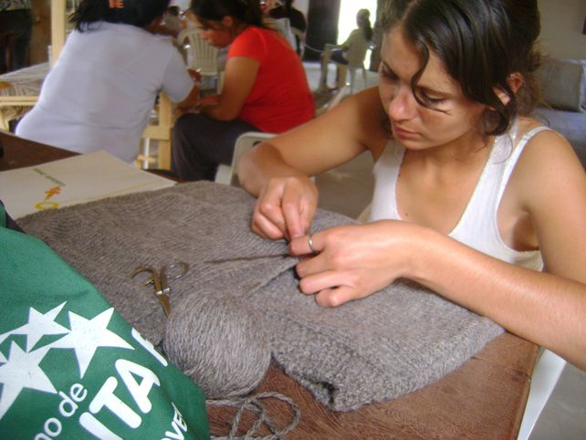 Más de 500 jóvenes se inscribieron al Programa Raíces