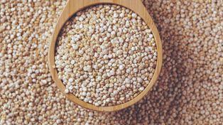 La quinoa es un cultivo con gran reconocimiento global.