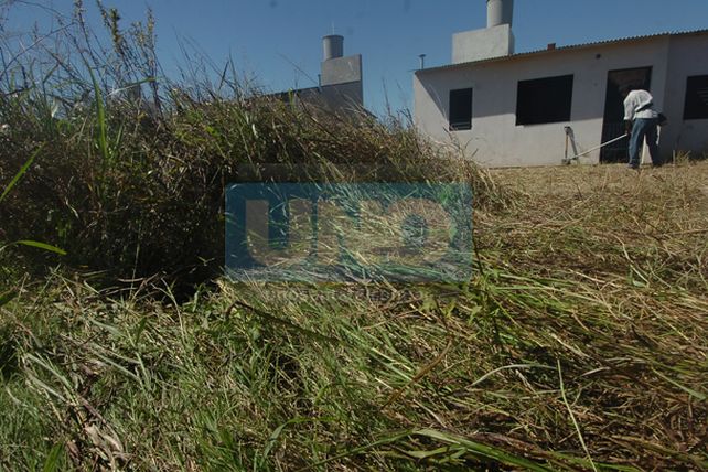 Aún con miedo a la represión, la usurpación se sostiene firme