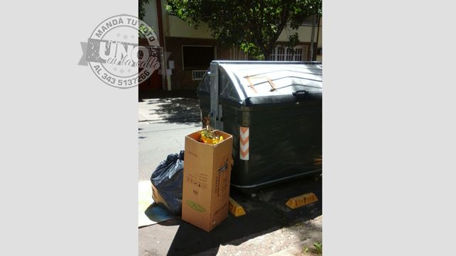 Algo muerto en el contenedor