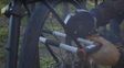 el candado que hara vomitar a los ladrones de bicicletas