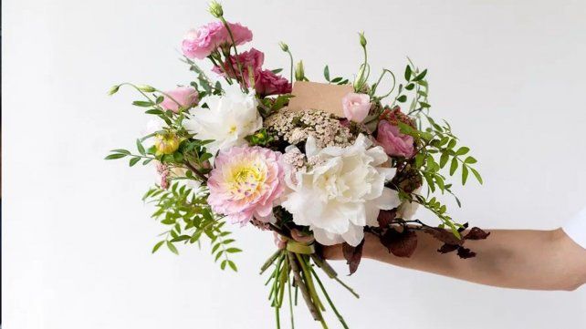 Flores del mundo Flores del mundo