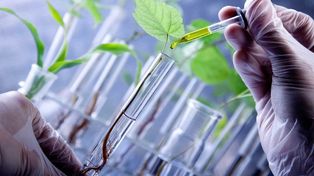 Los primeros biotecnólogos de Rosario celebran 30 años de recibidos