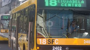 Dos líneas de colectivos no prestan servicios