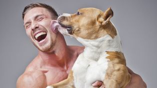 Científicos lograron situar el origen de la amistad entre perros y humanos