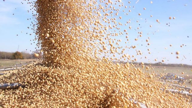 Soja. El volumen de ventas habitual de 100 mil toneladas se multiplicó en un día atípico para operaciones de ese calibre