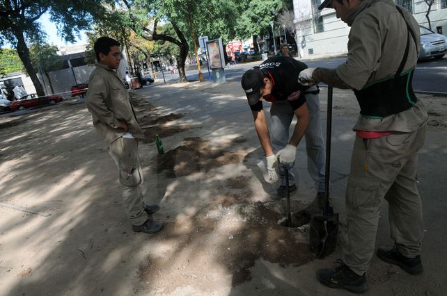 Comenzaron a cercar el Parque Alberdi para construir las cocheras subterráneas