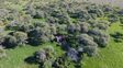 Tierras argentinas en manos extranjeras: qué departamento de la provincia de Santa Fe ya supera el límite legal