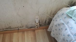 La humedad en construcciones es un problema común, especialmente en Rosario