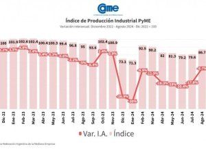 La industria pyme cayó 8,7% interanual en agosto