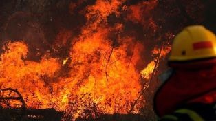 Hay que desplegar FF. AA. para controlar el incendio en las islas
