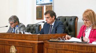 El Senado aprobó proyectos para impulsar la producción avícola y aliviar la carga fiscal