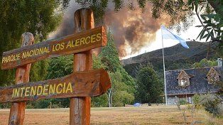Unos 250 brigadistas combaten las llamas en el Parque Nacional Los Alerces en varios frentes con condiciones meteorológicas adversas&nbsp;