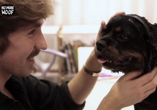 No More Woof, el primer dispositivo que traduce los ladridos de los perros