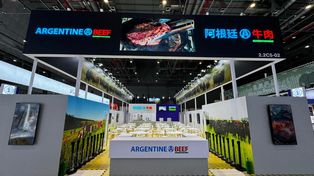 Exportadores de carne argentina hacen foco en una de las grandes expo de China