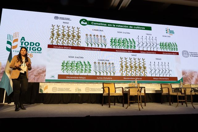 En A Todo Trigo tuvieron su espacio los nuevos cultivos de invierno