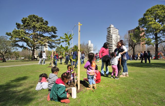 Tras la tormenta de febrero ya se plantaron 9 mil árboles en toda la ciudad