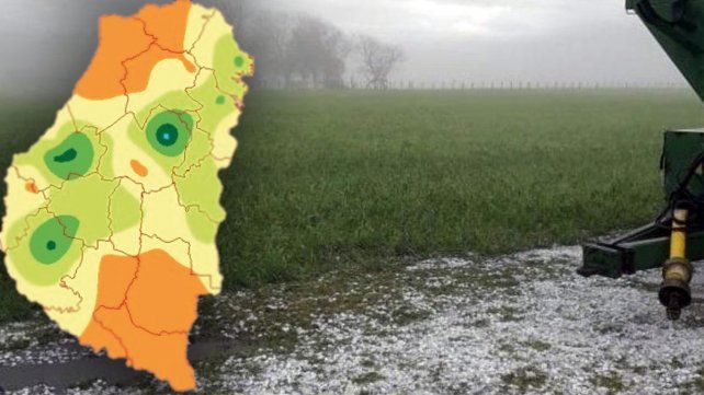 Hay pronóstico favorable