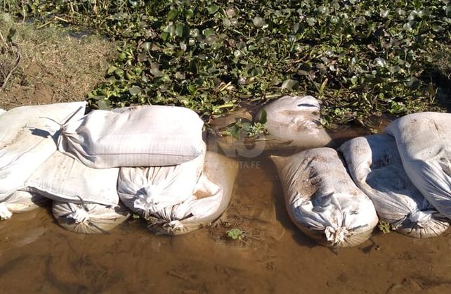 Las bolsas fueron colocadas por los vecinos y el municipio el fin de semana.&nbsp;