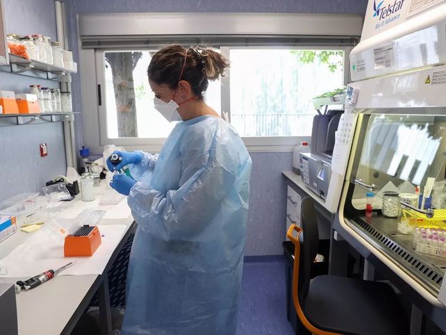 El Ministerio de Salud confirmó el tercer caso de viruela del mono en el país