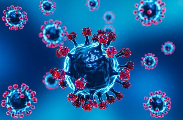 Gripe H3N2: qué es, a quiénes afecta y por qué la vacunación vuelve a ser clave