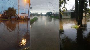 Fuertes lluvias en Santa Fe: cayeron hasta 53 mm en menos de una hora y hubo ráfagas de casi 45 km/h